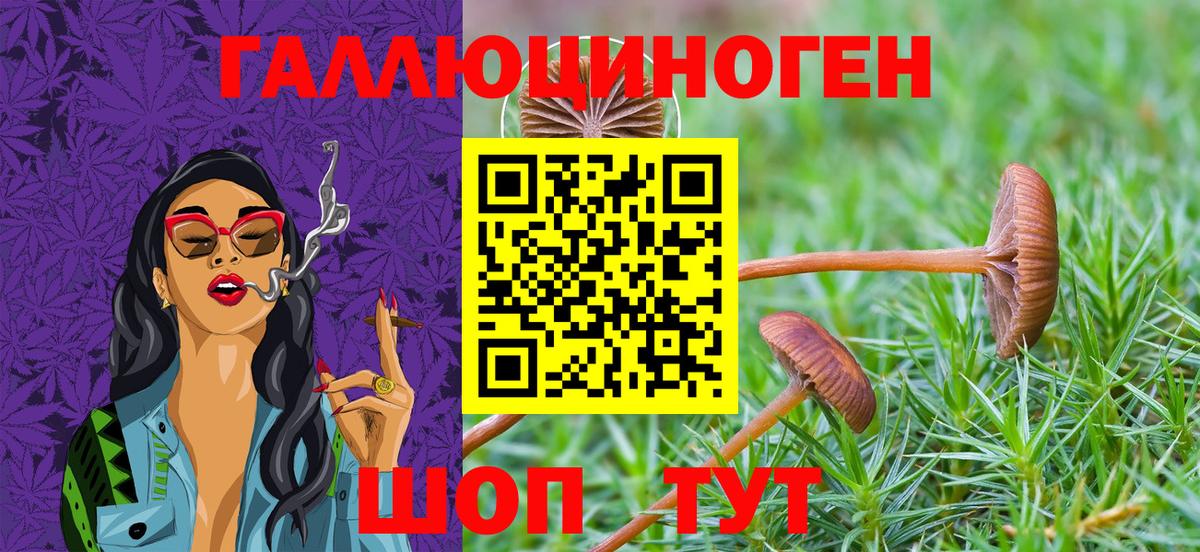 Псилоцибиновые грибы прущие грибы  Вход с VPN  Ликино-Дулёво 